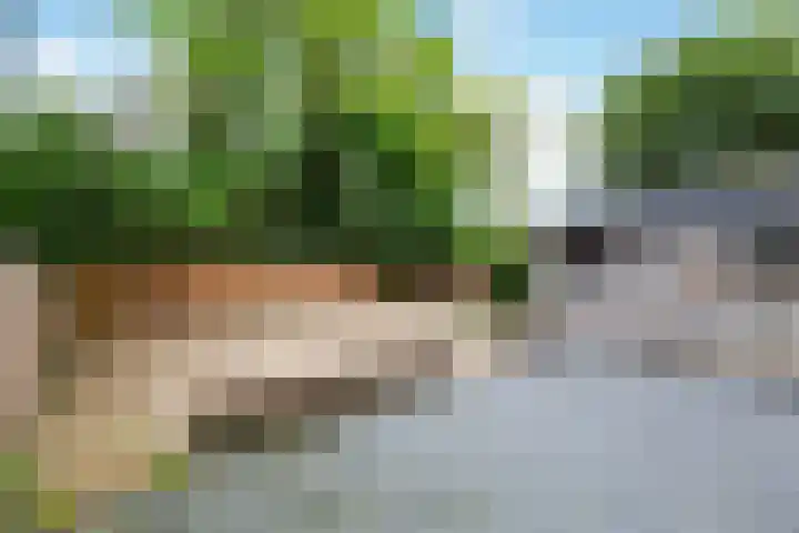West-Sidelinge 322 Rotterdam thumbnail 24
