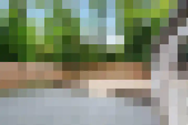 West-Sidelinge 322 Rotterdam thumbnail 27