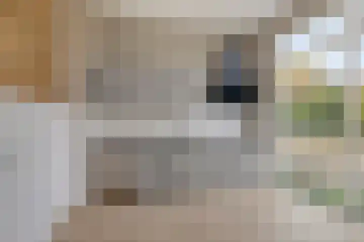 West Vaardeke 124 Oudenbosch thumbnail 11