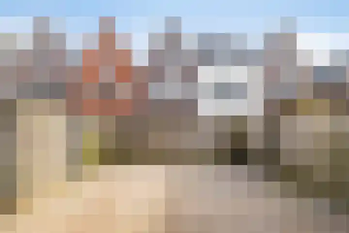 West Vaardeke 124 Oudenbosch thumbnail 28