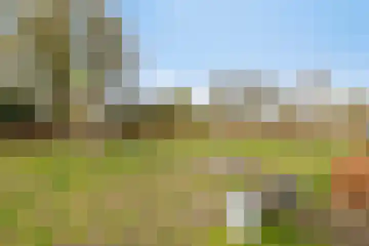 West Vaardeke 124 Oudenbosch thumbnail 31