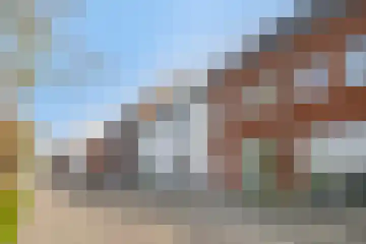 West Vaardeke 124 Oudenbosch thumbnail 4