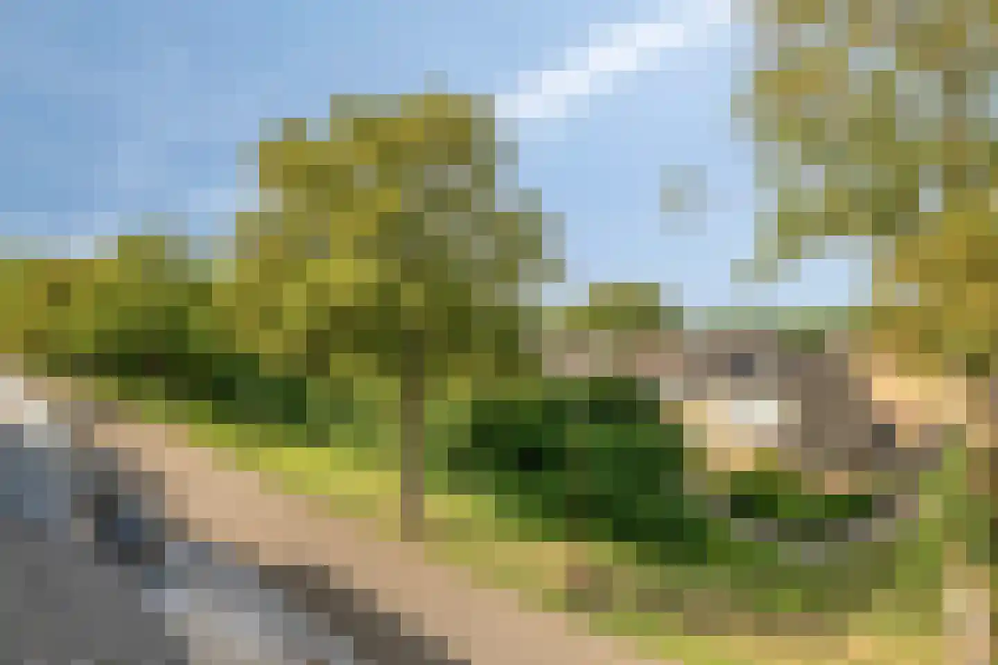 West Vaardeke 126 Oudenbosch thumbnail 25