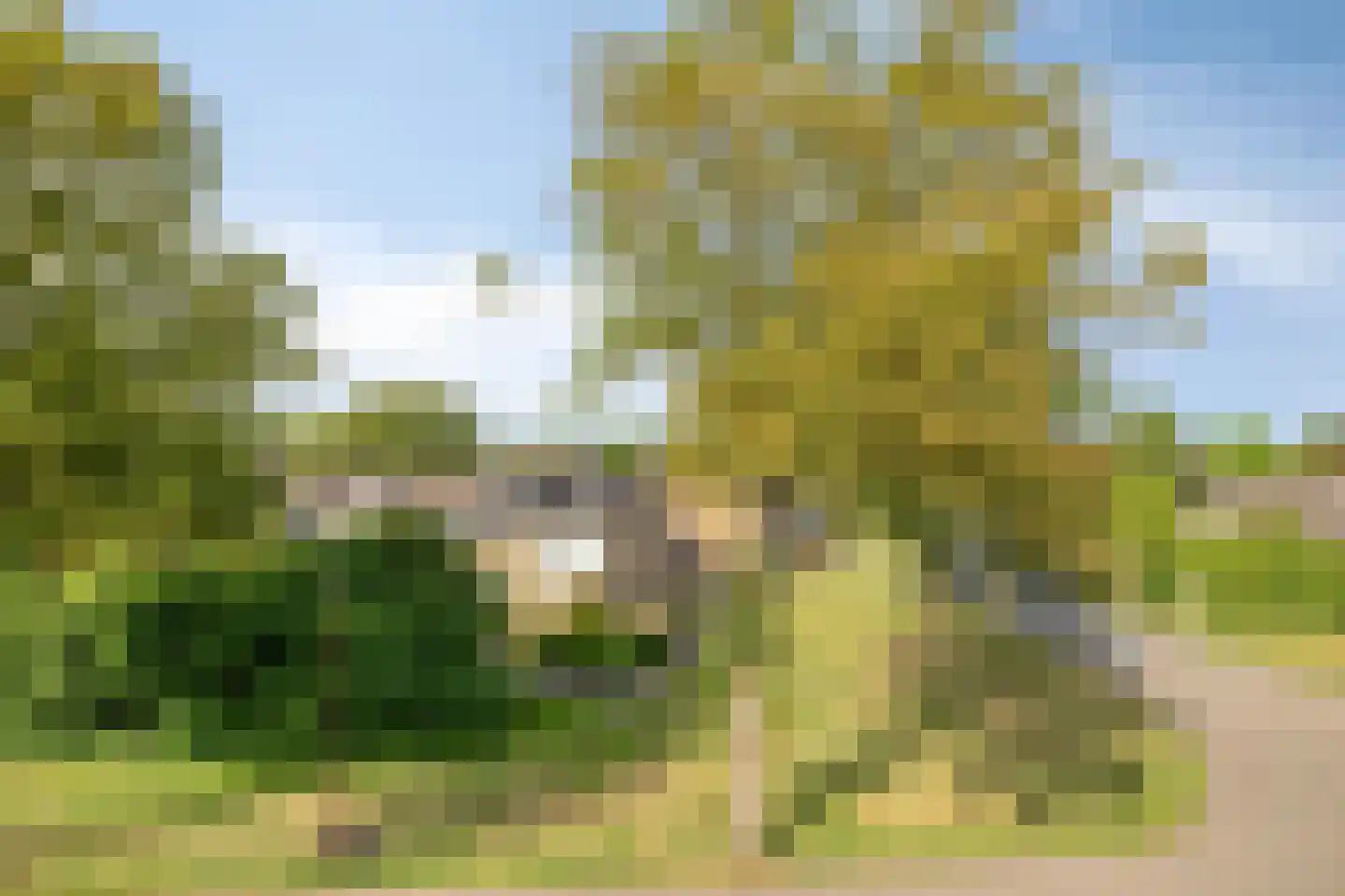 West Vaardeke 126 Oudenbosch thumbnail 26