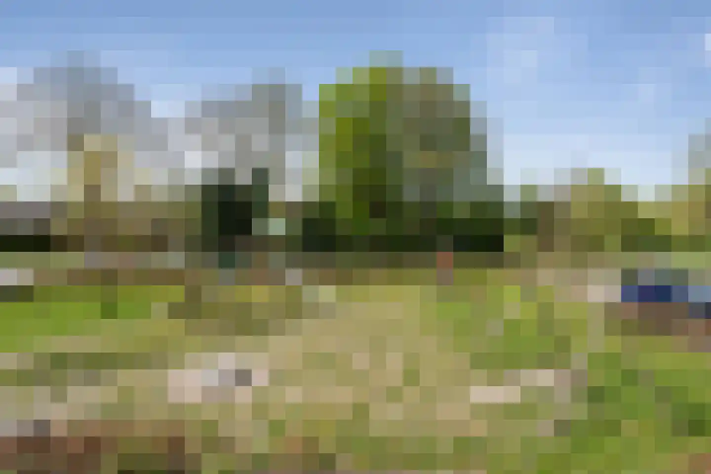 West Vaardeke 146 Oudenbosch thumbnail 28