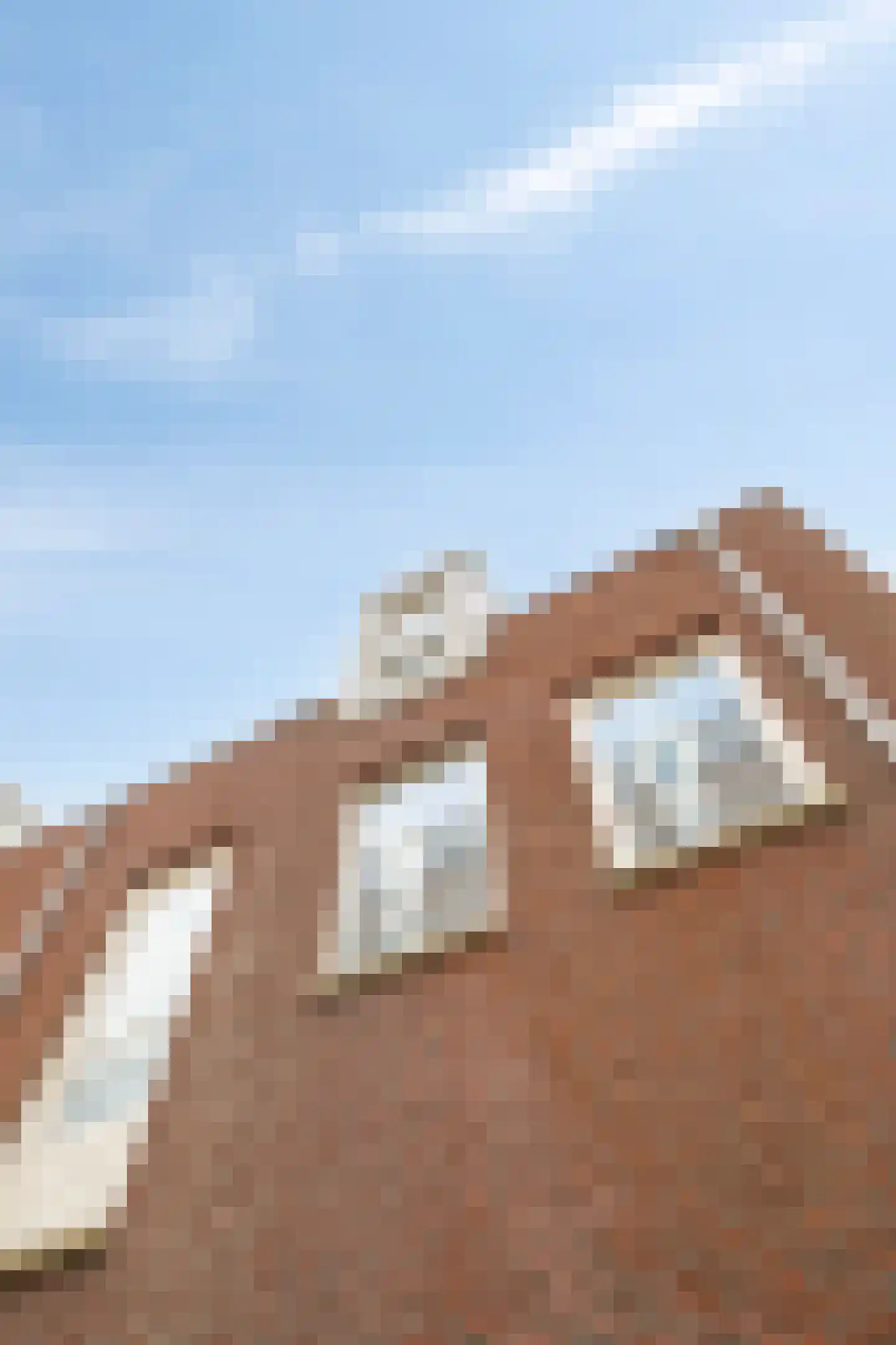 West Vaardeke 150 Oudenbosch thumbnail 48