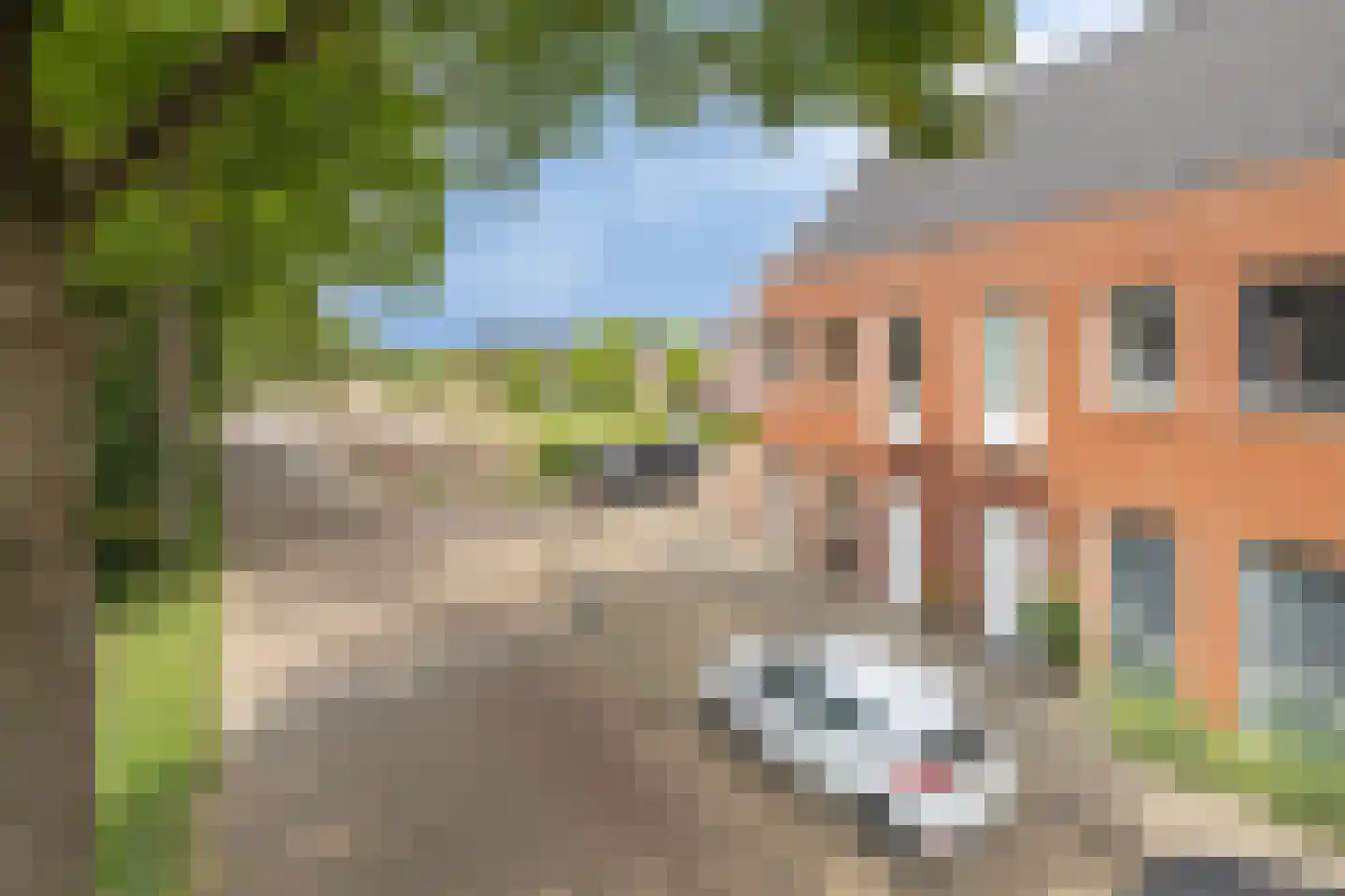 West Vaardeke 150 Oudenbosch thumbnail 8