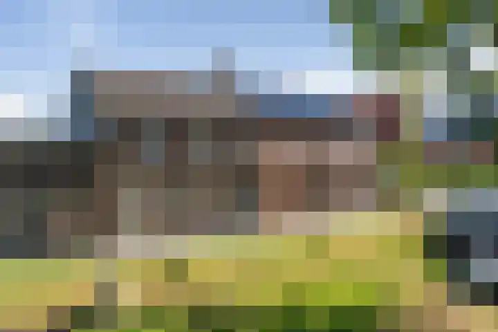 West Vaardeke 90 Oudenbosch thumbnail 34