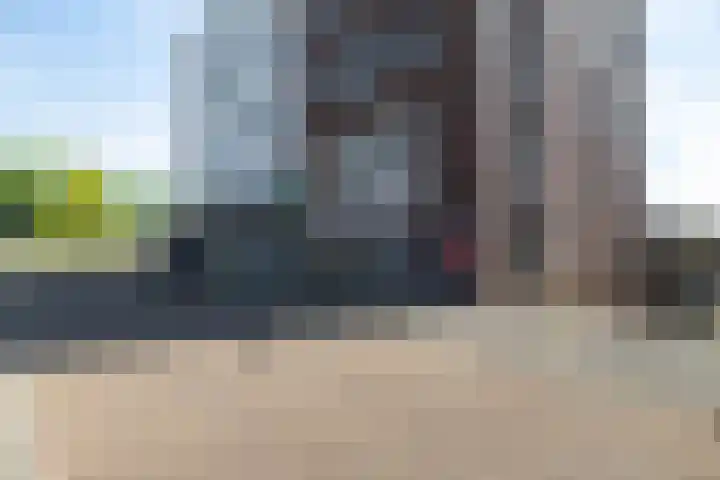 West Vaardeke 98 Oudenbosch thumbnail 33
