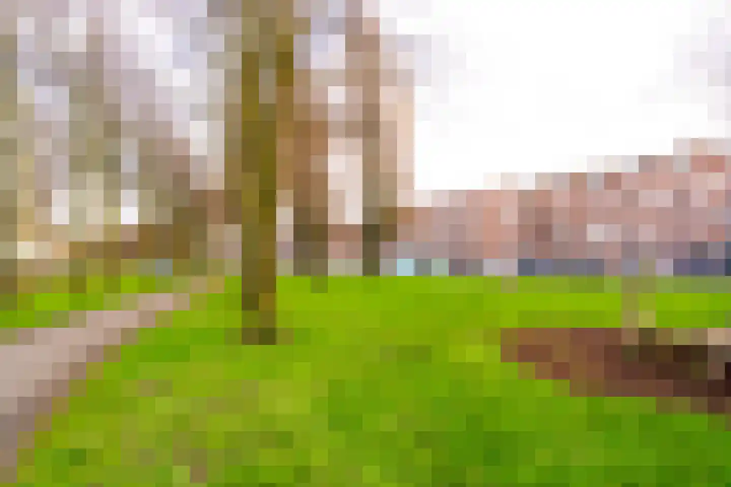 West-Varkenoordseweg 129 A 03 Rotterdam thumbnail 5