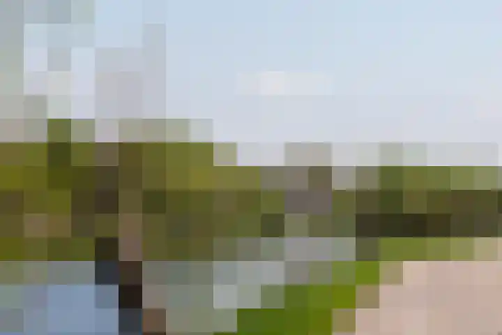 West-Vlisterdijk 24 Vlist thumbnail 13