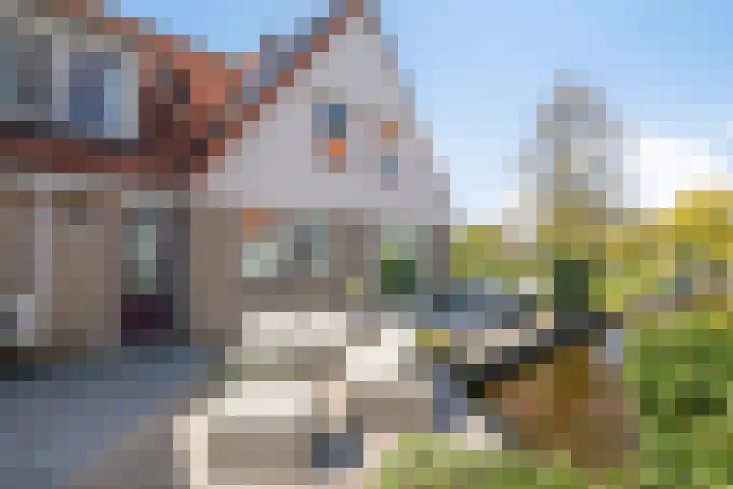 West Weer 9 Broek in Waterland thumbnail 39