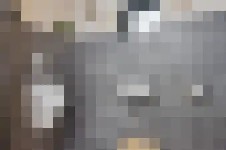 Westakker 12 Bant thumbnail 11