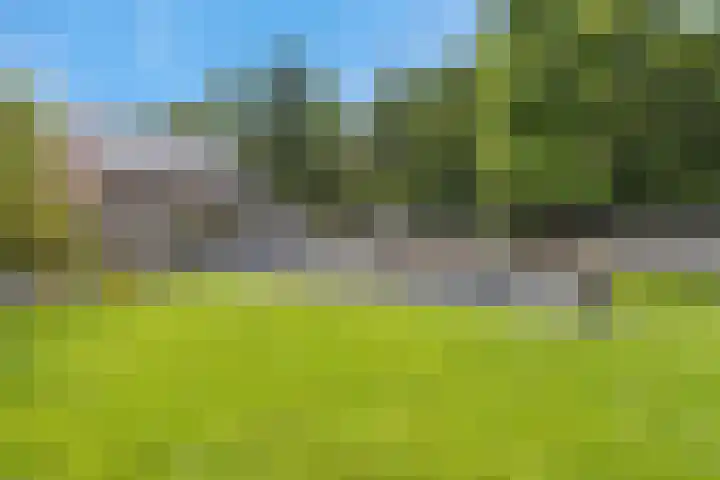 Westakker 12 Bant thumbnail 18