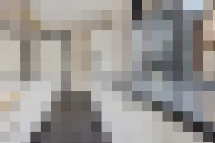 Westakker 12 Bant thumbnail 23