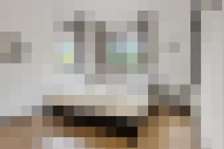 Westakker 12 Bant thumbnail 31