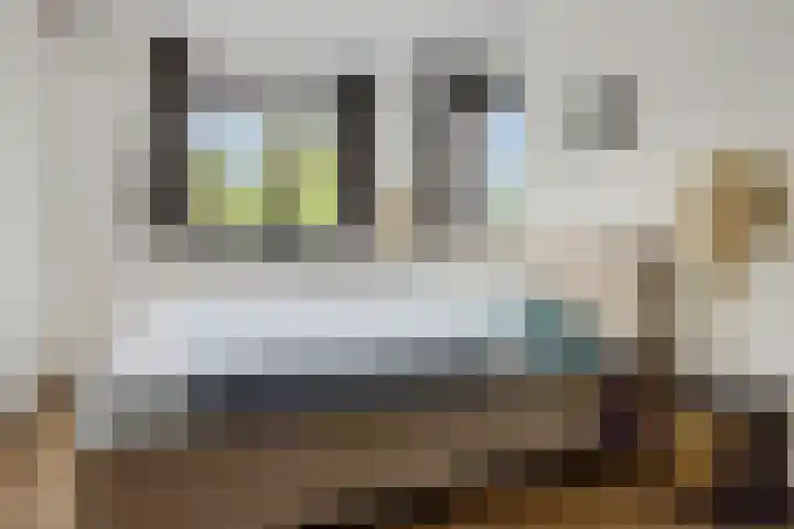Westakker 12 Bant thumbnail 33