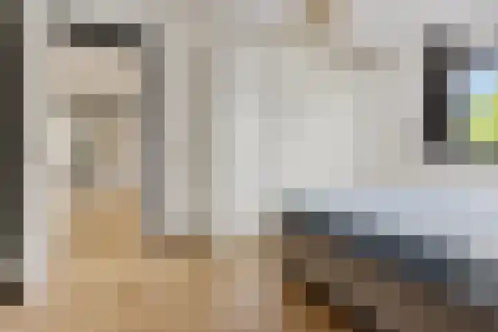 Westakker 12 Bant thumbnail 34