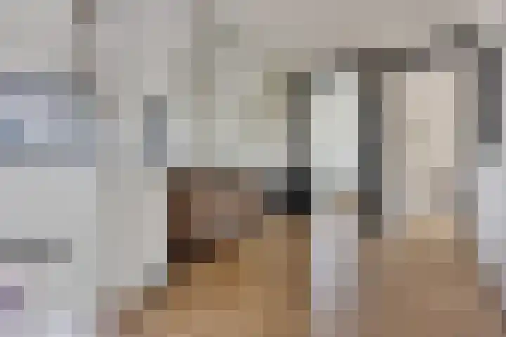 Westakker 12 Bant thumbnail 36