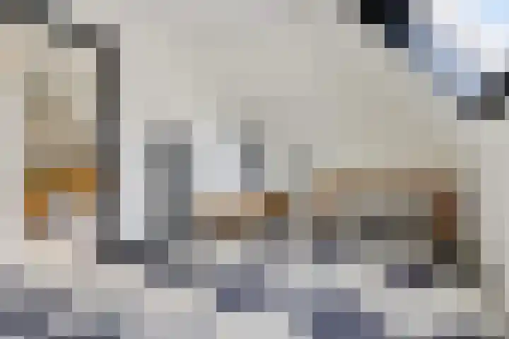 Westakker 12 Bant thumbnail 38