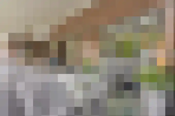 Westakker 12 Bant thumbnail 39