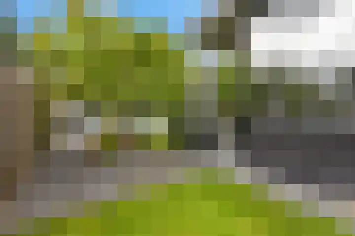 Westakker 12 Bant thumbnail 40