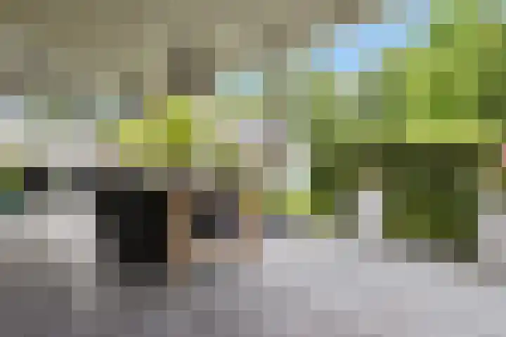 Westakker 12 Bant thumbnail 45