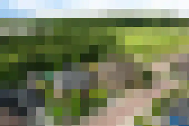 Westakker 12 Bant thumbnail 46