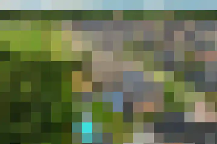 Westakker 12 Bant thumbnail 48