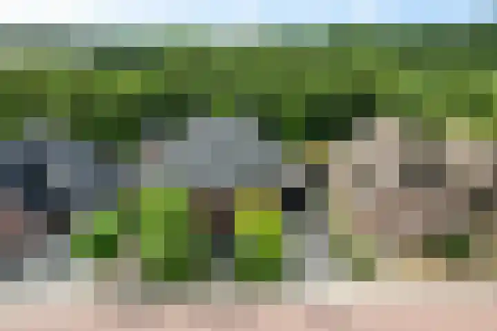 Westakker 12 Bant thumbnail 5