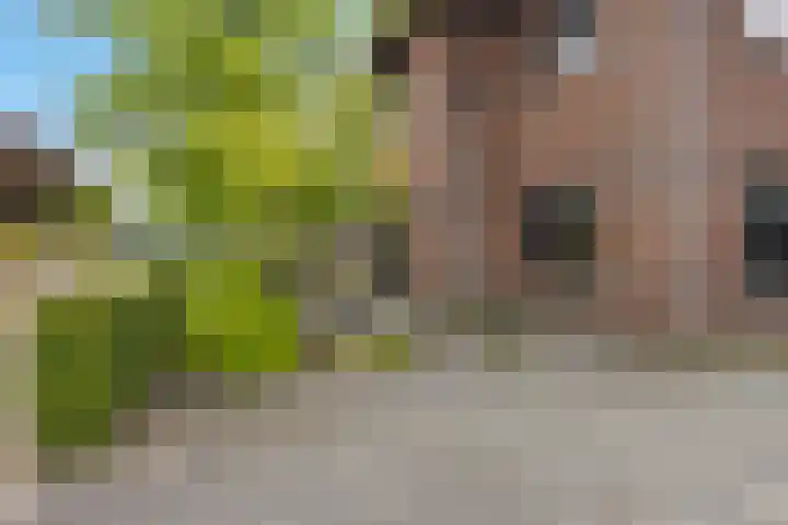 Westakker 12 Bant thumbnail 7