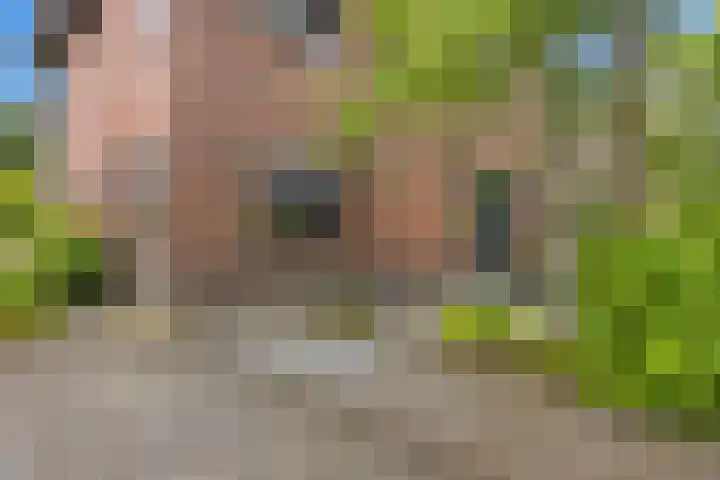 Westakker 12 Bant thumbnail 9