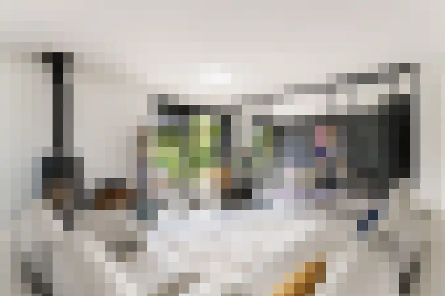 Westbatterijlaan 11 Muiden thumbnail 17
