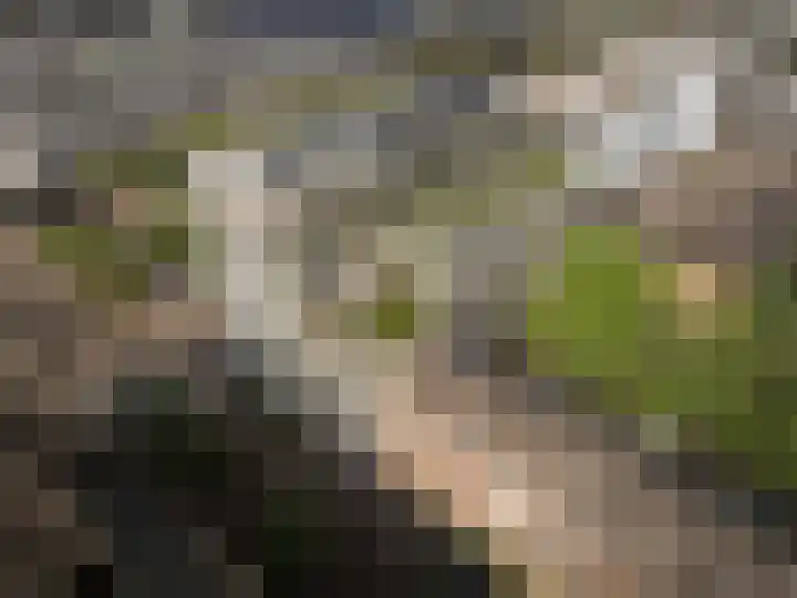 Westblaak 32 C 03 Rotterdam thumbnail 5