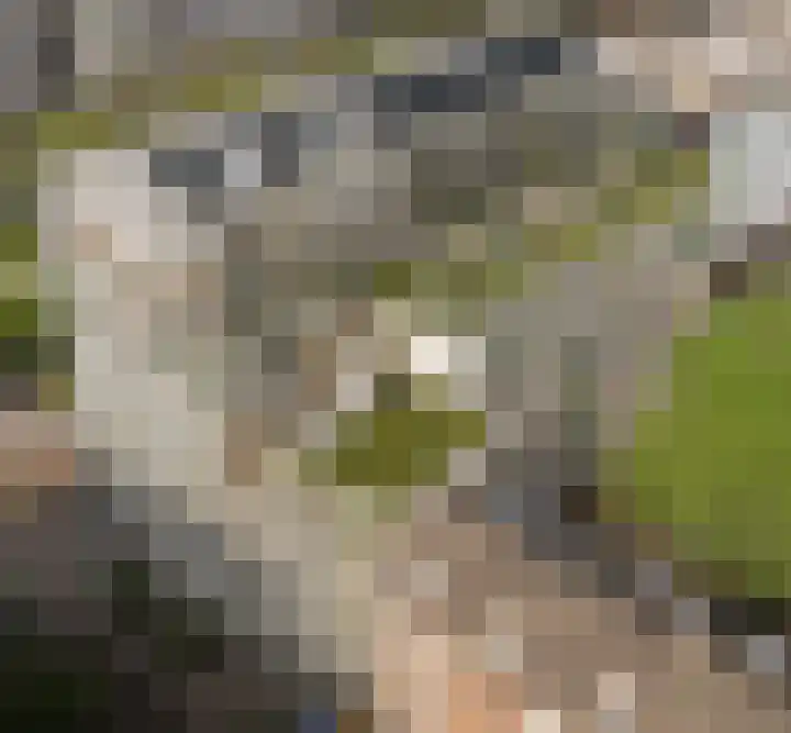 Westblaak 32 L 01 Rotterdam thumbnail 4