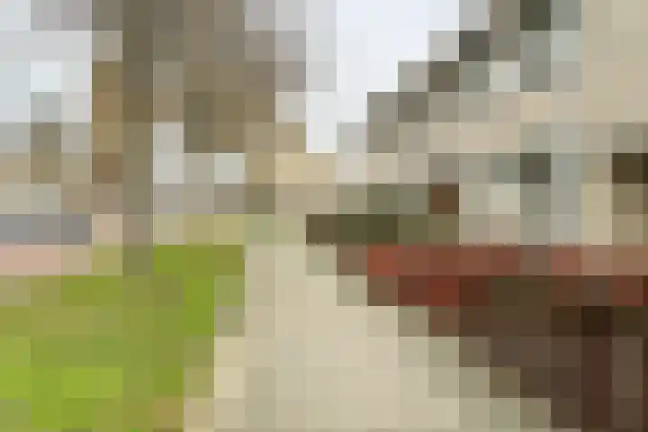 Westboschlaan 31 Leidschendam thumbnail 32