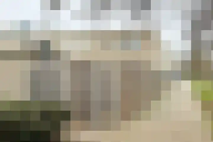 Westboschlaan 31 Leidschendam thumbnail 33
