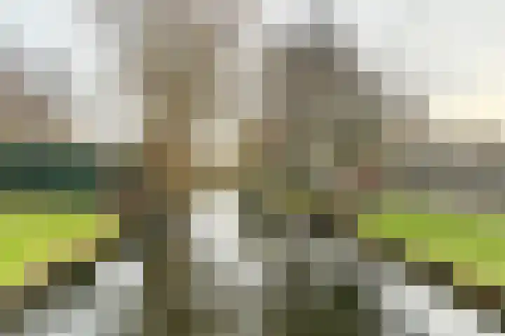 Westboschlaan 31 Leidschendam thumbnail 37
