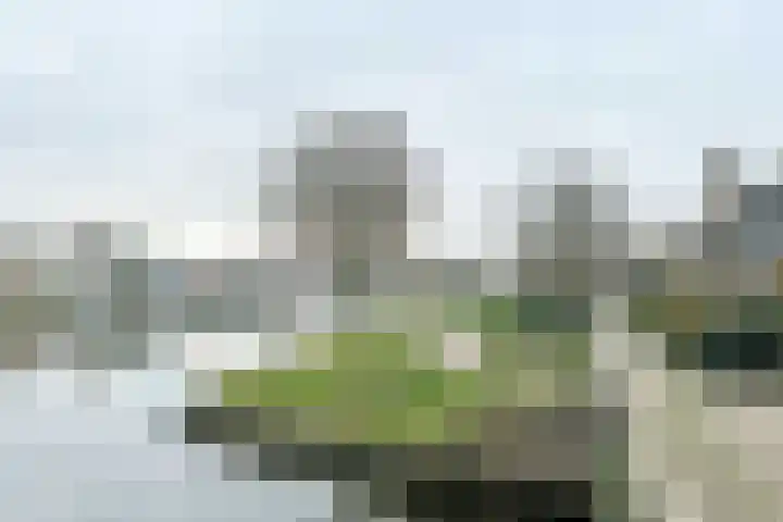 Westboschlaan 31 Leidschendam thumbnail 44