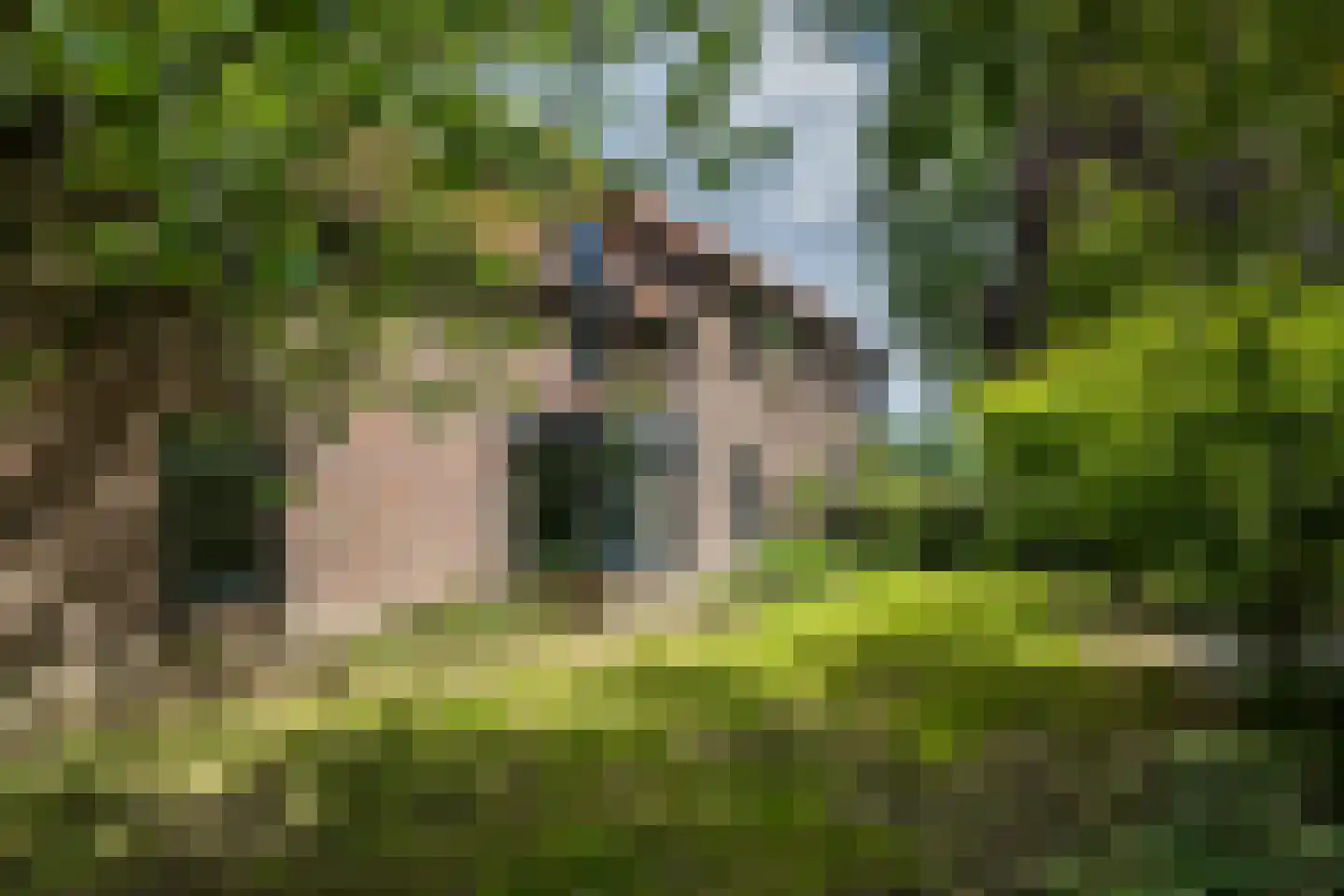 Westbroek 27 Geulle thumbnail 38