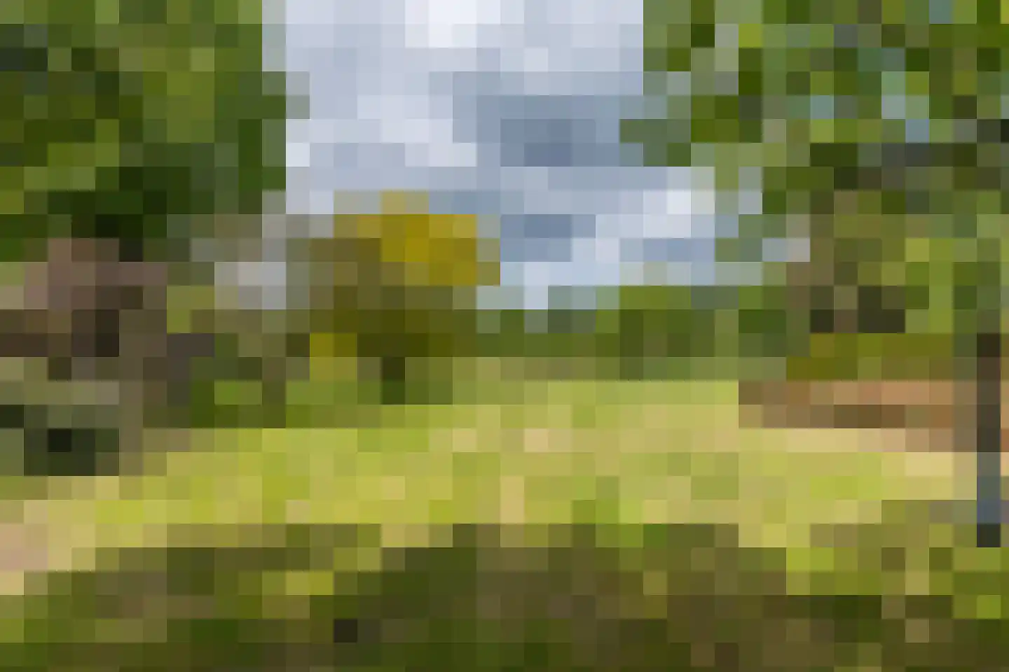 Westbroek 27 Geulle thumbnail 39