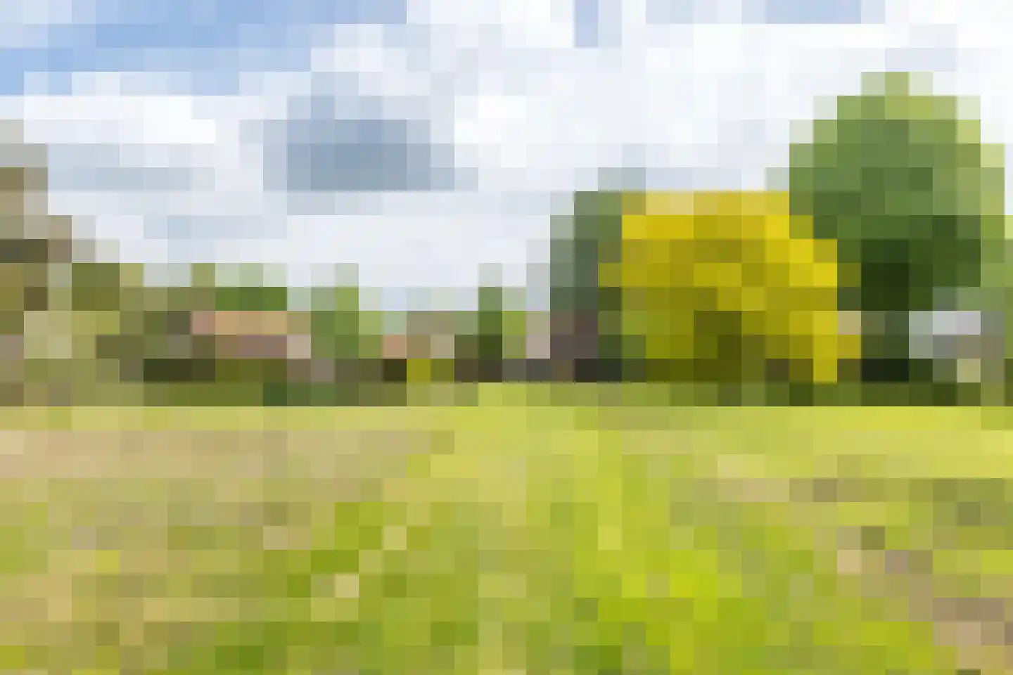 Westbroek 27 Geulle thumbnail 42