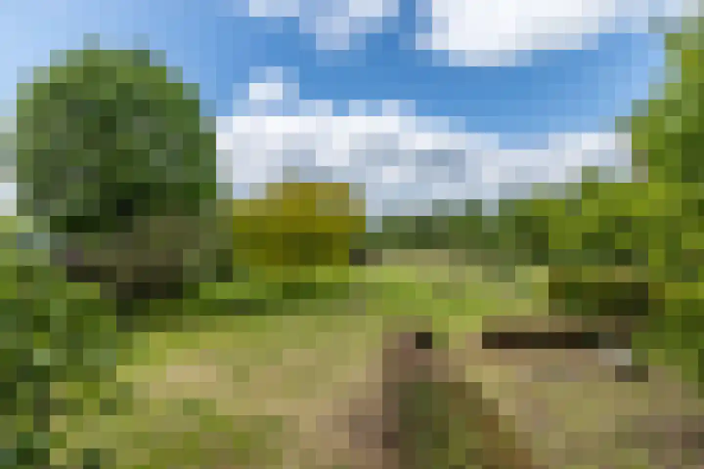 Westbroek 27 Geulle thumbnail 44