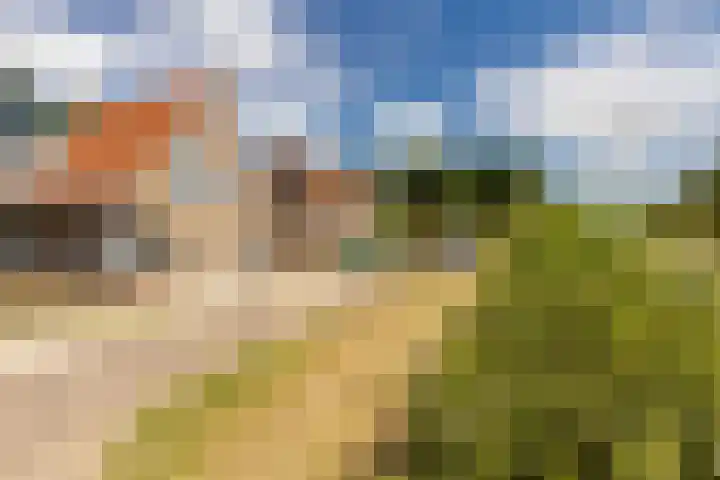 Westbroek 63 Geulle thumbnail 9