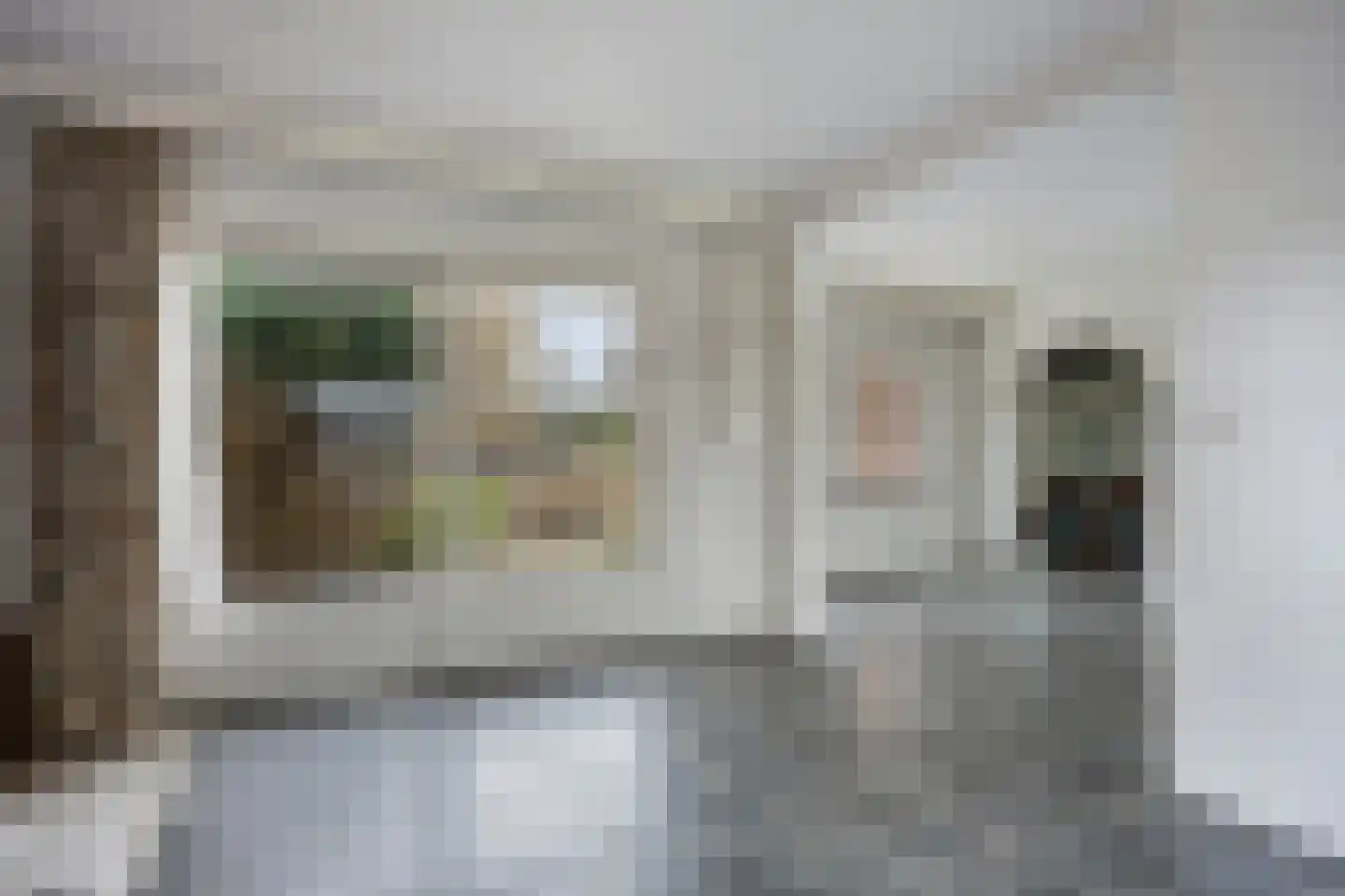 Westbroekse Binnenweg 12 Tienhoven thumbnail 11