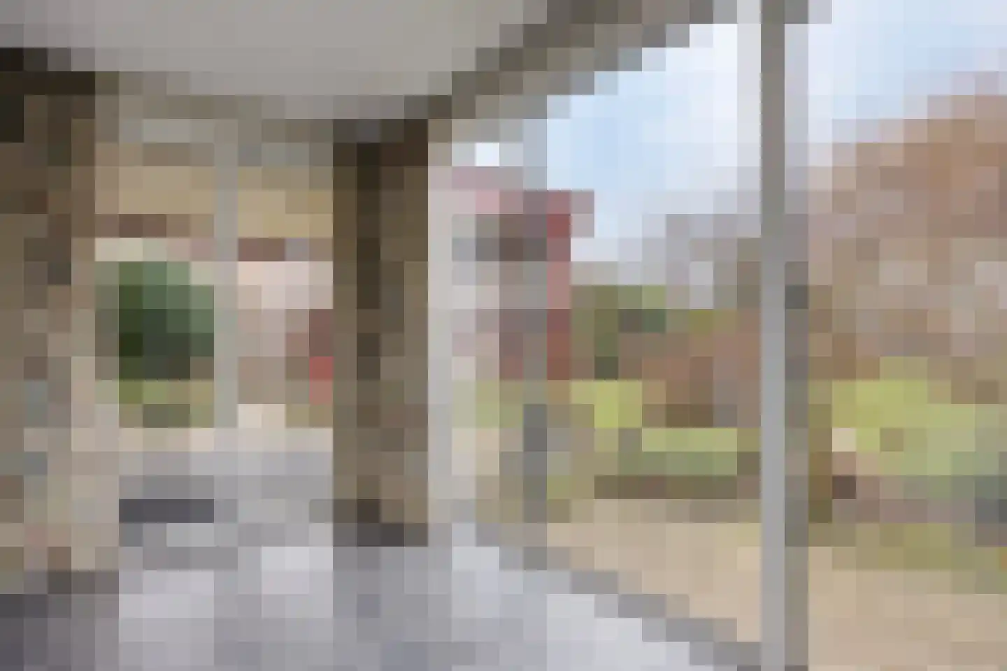 Westbroekse Binnenweg 12 Tienhoven thumbnail 23
