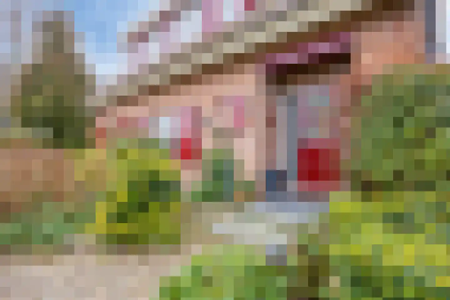 Westbroekse Binnenweg 12 Tienhoven thumbnail 4