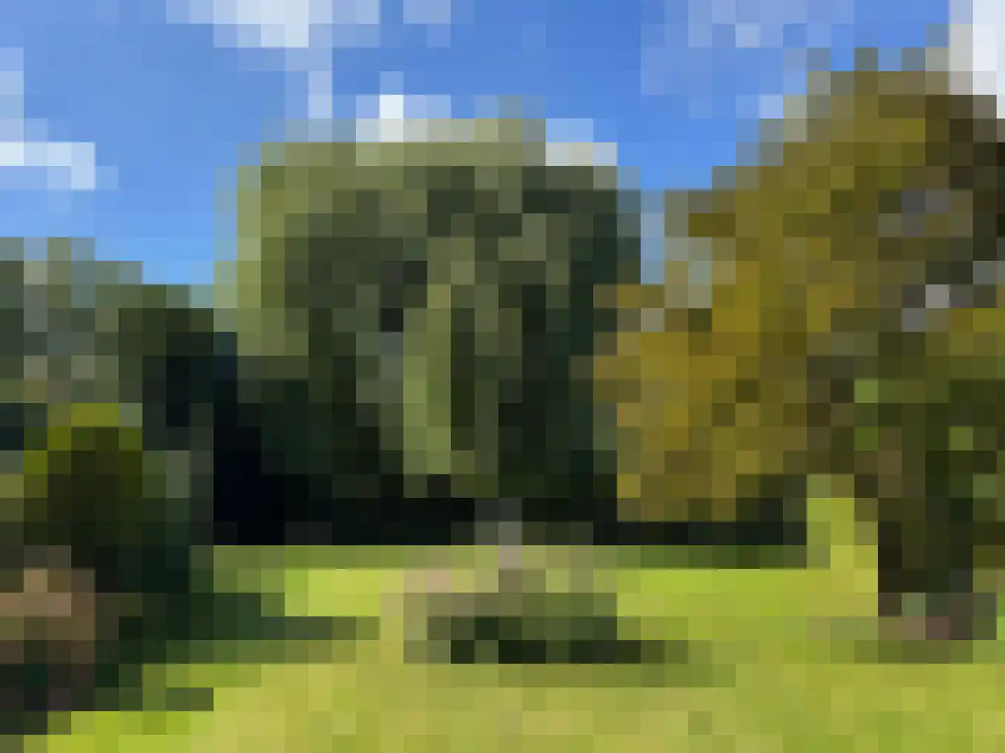 Westbroekse Binnenweg 12 Tienhoven thumbnail 40