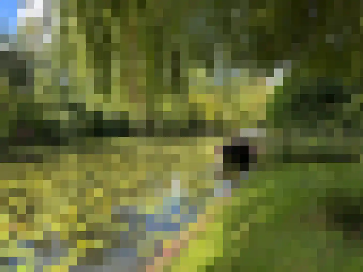 Westbroekse Binnenweg 12 Tienhoven thumbnail 41