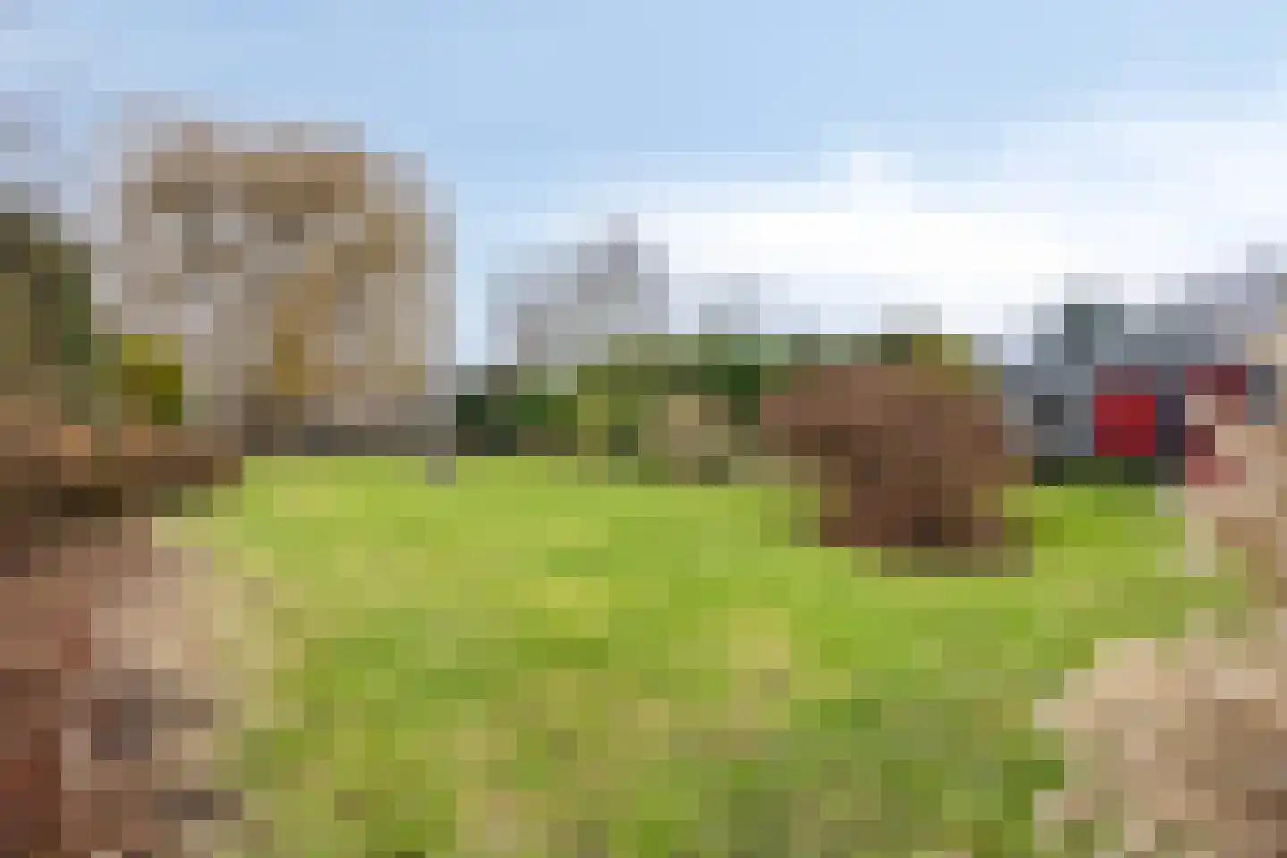 Westbroekse Binnenweg 12 Tienhoven thumbnail 44